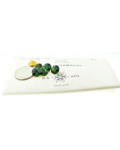 Swarovski 1100 Chaton Rhinestones 47ss Green Turmaline Pointed Back Gold Foiled  - 4 Pcs
